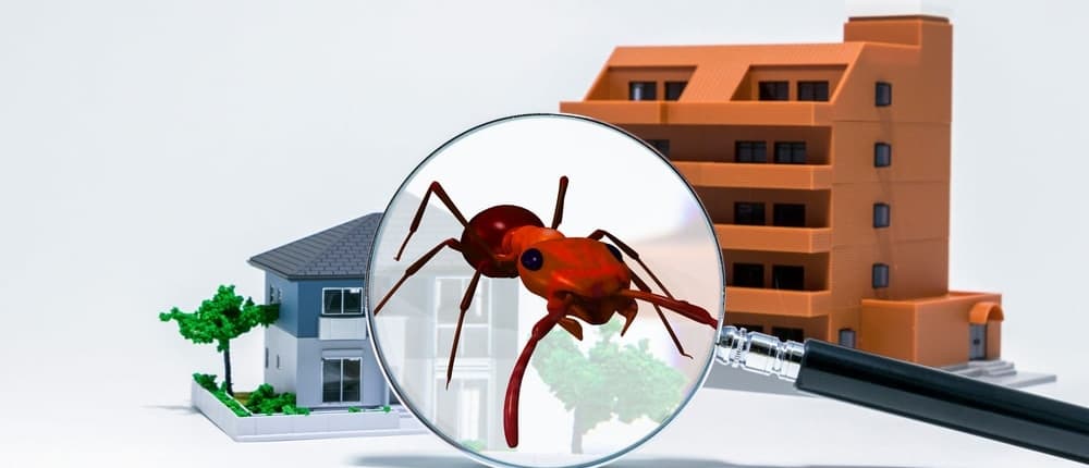 WDI Inspections